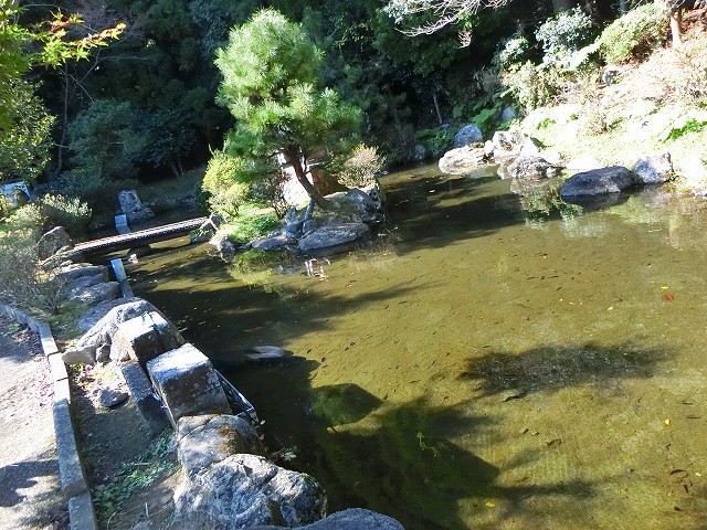 平成の名水百選の甲突池は鹿児島市を流れる甲突川の源流で八重の棚田を潤します